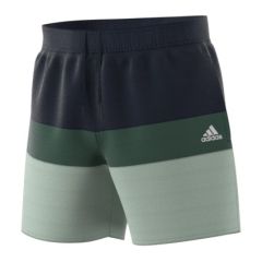 Mens Shorts - Legend Ink/Linen Green