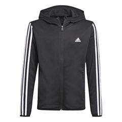 Youth Designed 2 Move 3-Stripes Hoodie