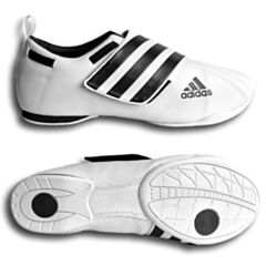 Adi Dyna Shoes
