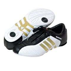 Adi Evo Shoes