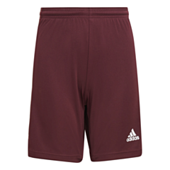 Squadra Shorts