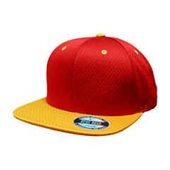 Youth M&N Red/Gold Swingman