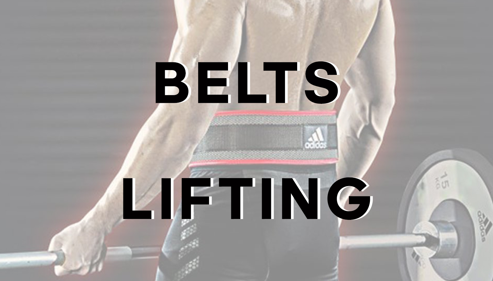 Belts / Lifting