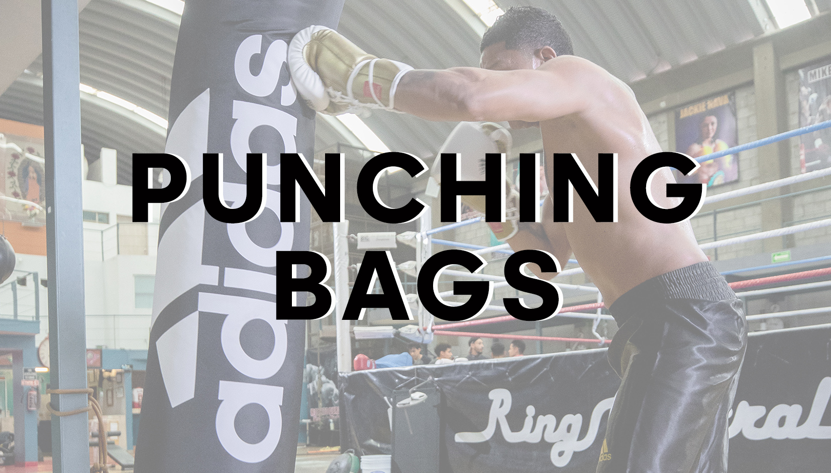 Punching Bags